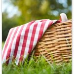 Annual Genealogy Picnic (Ottawa)